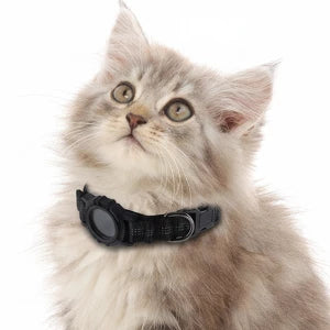 Cat Tag